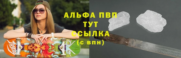 амф Ельня