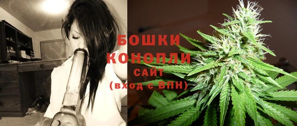 спайс Белокуриха
