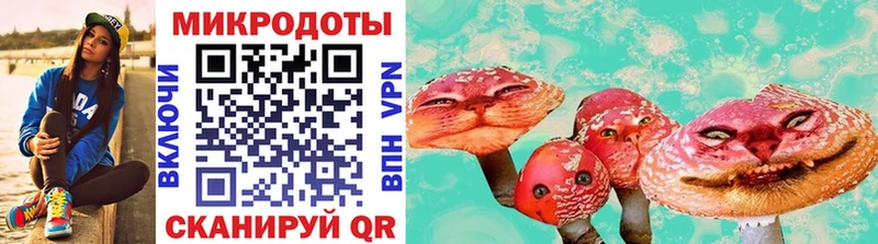 где можно купить наркотик  Надым  Псилоцибиновые грибы Psilocybe 